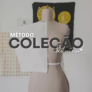 Imagem de capa para o Curso online METODO COLEÇÃO DE SUCESSO