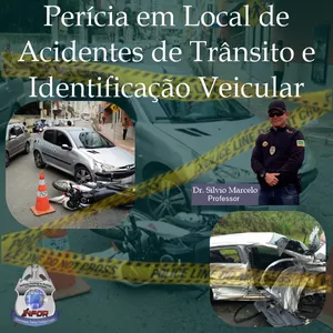 Imagem de capa para o Curso online Perícia em Local e Acidentes de Trânsito e Identificação Veicular