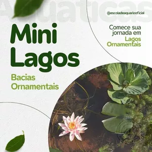 Imagem de capa para o Curso online Curso Mini lagos em Bacias Ornamentais
