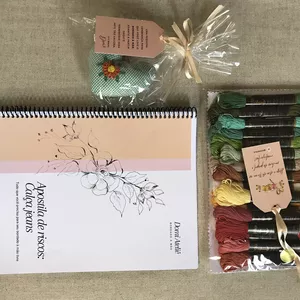 Imagem de capa para o Curso online Kit Apostila de Risco com Linhas Anchor para Bordado à mão