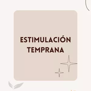 Imagen de portada para Ebook Introducción a la estimulación temprana
