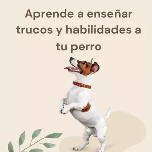Imagen de portada para Ebook Aprende a enseñar trucos y habilidades a tu perro