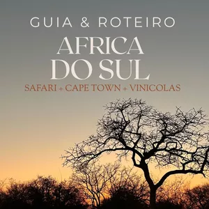 Imagem de capa para o Ebook Guia & Roteiro - África do sul 