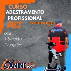 Imagem de capa para o Curso online Curso MASTER ADESTRADOR PROFISIONAL