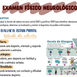 Imagen de portada para Ebook Examen Físico Neurológico / Semiología