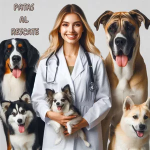 Imagen de portada para Ebook Patas al rescate 