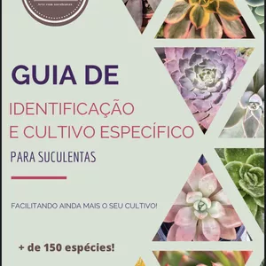 Imagem de capa para o Ebook Guia de Identificação e Cultivo específico para suculentas.