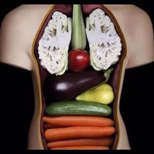 Imagen de portada para Ebook LA ALIMENTACION SALUDABLE