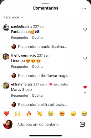 O que as clientes dizem, recomendações e testimonials do Curso Meu Primeiro Zoológico - Modele 25 Animais em Pasta Americana no Instagram