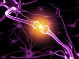 Mastering Brainwave Entrainment: The Art and Science of Audiovisual Stimulation logo
