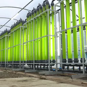 Imagen de portada para Curso online Curso Avanzado de Microalgas