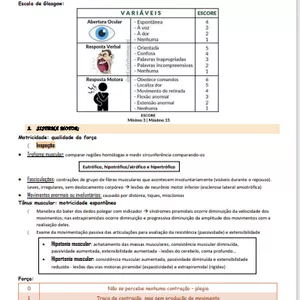 Imagem de capa para o Ebook Exame neurológico.