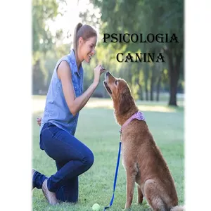Imagen de portada para Curso online Psicología canina