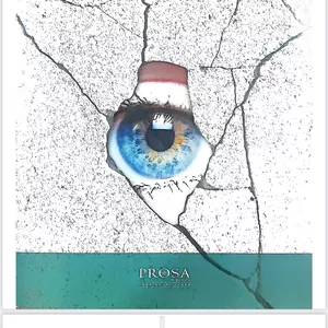 Imagen de portada para Ebook La Grieta 