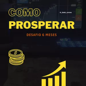 Imagem de capa para o Ebook Como Prosperar em 6 Meses