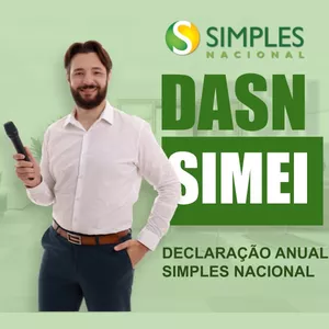Imagem de capa para o Ebook Aprenda a fazer sua própria declaração do MEI (DASN SIMEI) de forma rápida e fácil 
