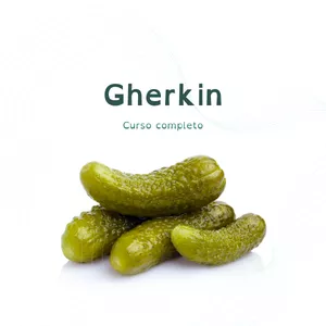 Imagem de capa para o Curso online Curso completo de escrita em Gherkin
