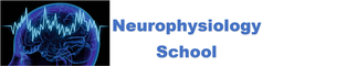Neurophysiology Training Portal
