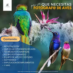 Imagen de portada para Ebook Que necesitas para ser Fotógraf@ de Aves.