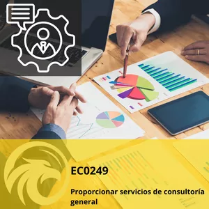 Imagen de portada para Curso online EC0249 - Proporcionar Servicios de Consultoría General