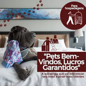 Imagem de capa para o Curso online "Pets Bem-Vindos, Lucros Garantidos" - Pet Friendly de Verdade:  a estratégia que vai diferenciar seu hotel e atrair mais clientes