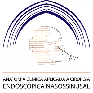 Imagem de capa para o Curso online Curso Endonasal Santa Casa