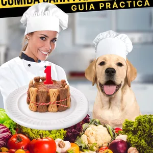 Imagen de portada para Ebook COMIDA SANA PARA TU PERRO