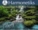 Harmonetiks Music