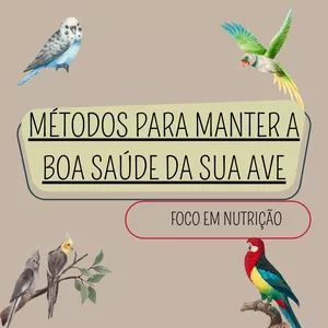 Imagem do curso METODOS  PARA MANTER A BOA SAUDE DA SUA AVE 