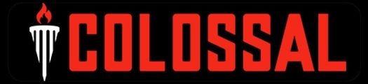 Colossal Training Platform logo