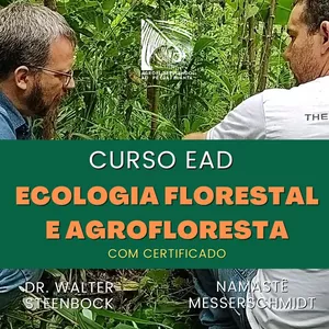 Imagem do curso Ecologia Florestal e Agrofloresta