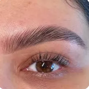 Imagem do curso ✨ Brow Revival ("Renascimento das Sobrancelhas")