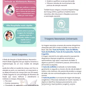 Imagem de capa para o Ebook Resumo PNAISC: Domine os 7 eixos do PNAISC com facilidade.