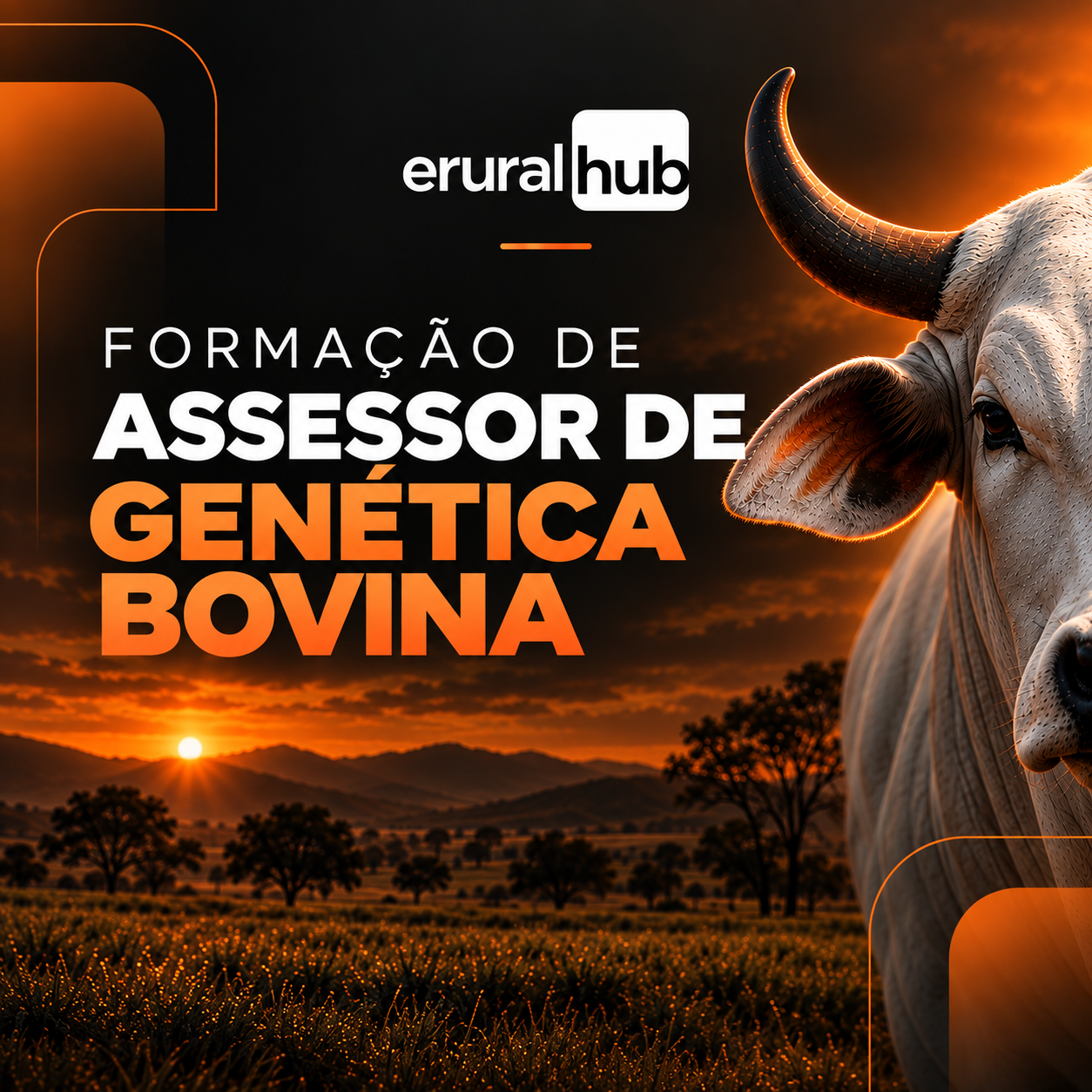 Imagem do curso Formação de Assessor de Genética Bovina: carreira lucrativa no agronegócio
