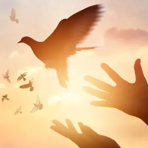 Imagem de capa para o Curso online Mais do Espírito Santo