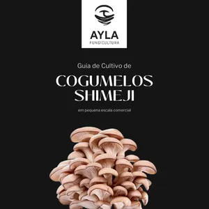Imagem principal do produto Curso de Cultivo de Shimeji - Para Pequena Escala Comercial