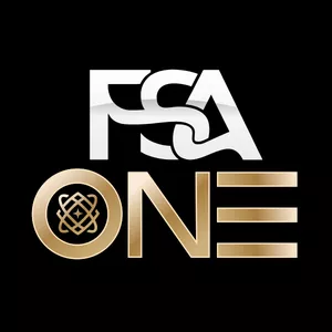 Imagem de capa para o Curso online FSA ONE