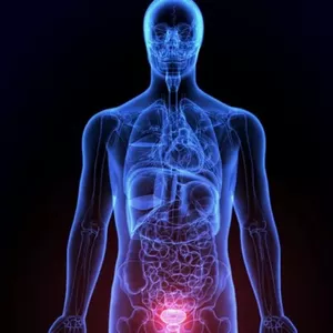 Imagem de capa para o Ebook A Dieta da Próstata