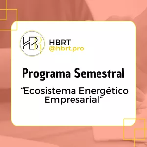 Imagen de portada para Servicio online Programa Semestral  “Ecosistema Energético Empresarial”