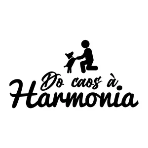 Imagem de capa para o Curso online DO CAOS À HARMONIA 