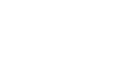 NDS Privacy &  Digital Security logo