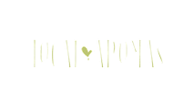 Casa Local Aromas logo