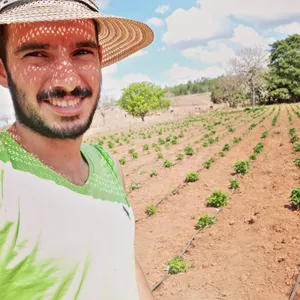 Imagem de capa para o Ebook Pesquisa de Mercado na prática