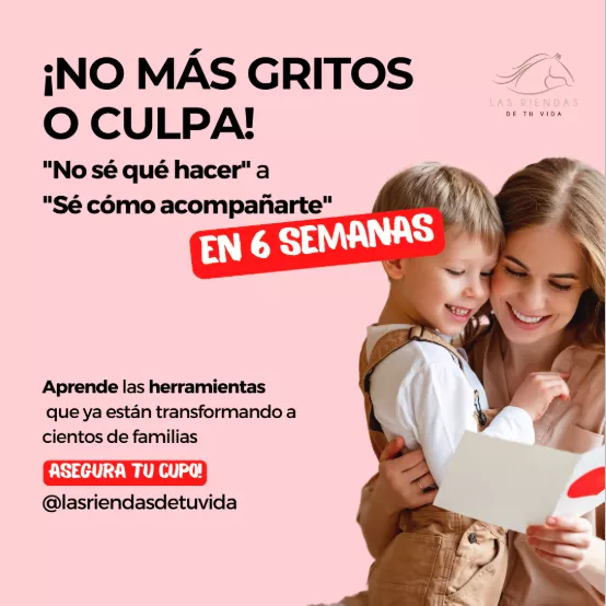 No más gritos ni culpas