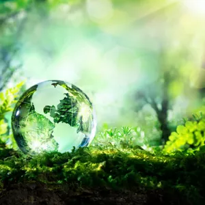 Imagem de capa para o Curso online ISO 14001:2015 Sistema de Gestão Ambiental