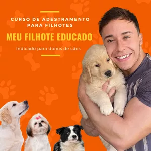 Imagem de capa para o Curso online CURSO DE ADESTRAMENTO MEU FILHOTE EDUCADO