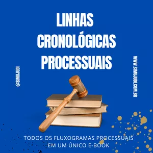 Imagem de capa para o Ebook LINHAS CRONOLÓGICAS PROCESSUAIS 