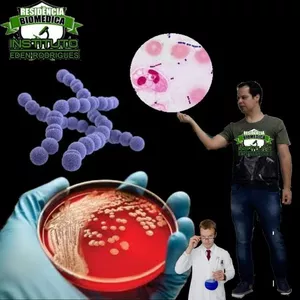 Imersão em Bacteriologia Clínica 1.0
