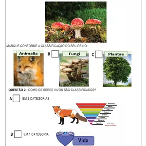 Imagem de capa para o Ebook ATIVIDADE CIÊNCIAS - OS CINCO REINOS DOS SERES VIVOS