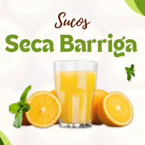 Imagem de capa para o Ebook Sucos Seca Barriga